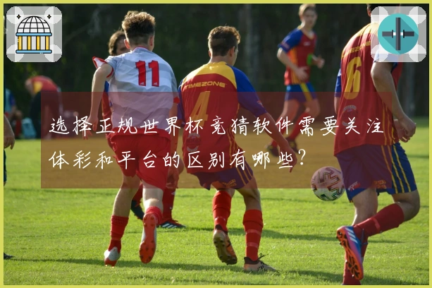 选择正规世界杯竞猜软件需要关注体彩和平台的区别有哪些？