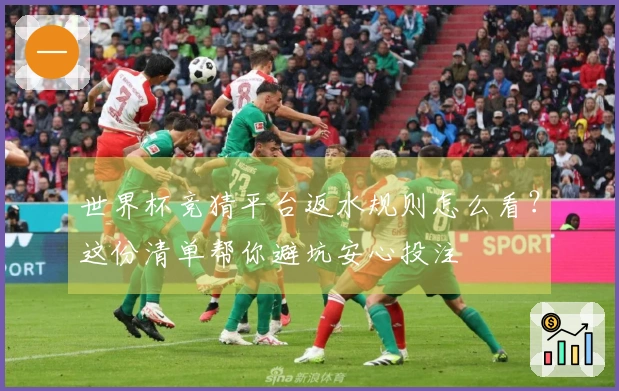 世界杯竞猜平台返水规则怎么看？这份清单帮你避坑安心投注