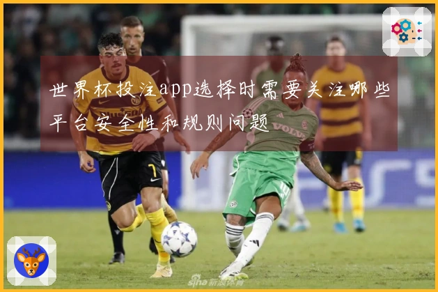世界杯投注app选择时需要关注哪些平台安全性和规则问题