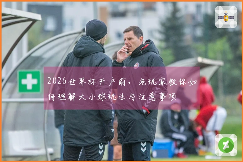 2026世界杯开户前，老玩家教你如何理解大小球玩法与注意事项